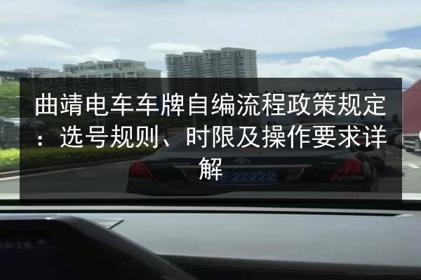 曲靖电车车牌自编流程政策规定：选号规则、时限及操作要求详解
