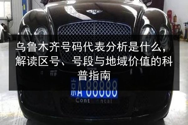 乌鲁木齐号码代表分析是什么，解读区号、号段与地域价值的科普指南