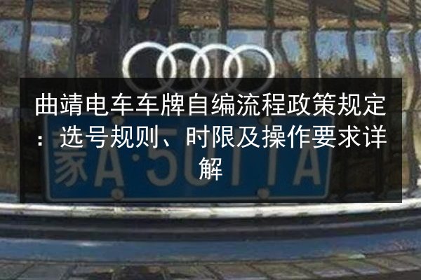曲靖电车车牌自编流程政策规定：选号规则、时限及操作要求详解 第2张