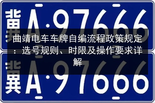 曲靖电车车牌自编流程政策规定：选号规则、时限及操作要求详解 第3张