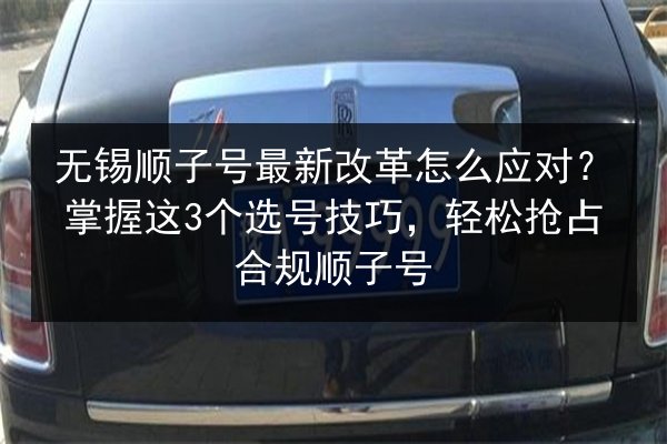 无锡顺子号最新改革怎么应对?掌握这3个选号技巧,轻松抢占合规顺子号 第2张 无锡顺子号最新改革怎么应对?掌握这3个选号技巧,轻松抢占合规顺子号 第2张