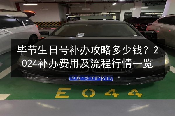 毕节生日号补办攻略多少钱？2024补办费用及流程行情一览