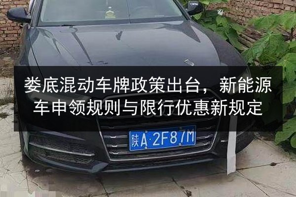 娄底混动车牌政策出台,新能源车申领规则与限行优惠新规定 第2张 娄底混动车牌政策出台,新能源车申领规则与限行优惠新规定 第2张