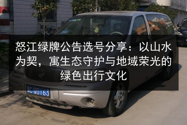 怒江绿牌公告选号分享：以山水为契，寓生态守护与地域荣光的绿色出行文化