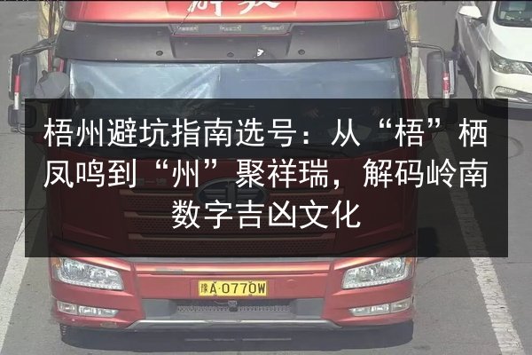 梧州避坑指南选号：从“梧”栖凤鸣到“州”聚祥瑞，解码岭南数字吉凶文化 第3张