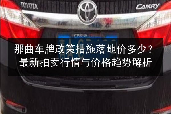 那曲车牌政策措施落地价多少？最新拍卖行情与价格趋势解析 第2张