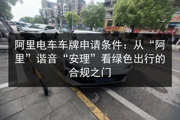 阿里电车车牌申请条件：从“阿里”谐音“安理”看绿色出行的合规之门 第3张