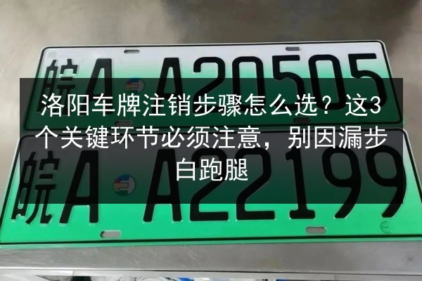 洛阳车牌注销步骤怎么选?这3个关键环节必须注意,别因漏步白跑腿 第2张 洛阳车牌注销步骤怎么选?这3个关键环节必须注意,别因漏步白跑腿 第2张