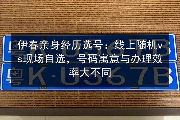 伊春亲身经历选号:线上随机vs现场自选,号码寓意与办理效率大不同 第2张 伊春亲身经历选号:线上随机vs现场自选,号码寓意与办理效率大不同 第2张
