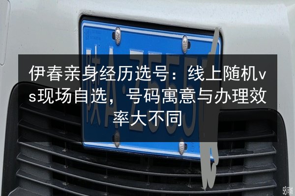 伊春亲身经历选号:线上随机vs现场自选,号码寓意与办理效率大不同 第3张 伊春亲身经历选号:线上随机vs现场自选,号码寓意与办理效率大不同 第3张