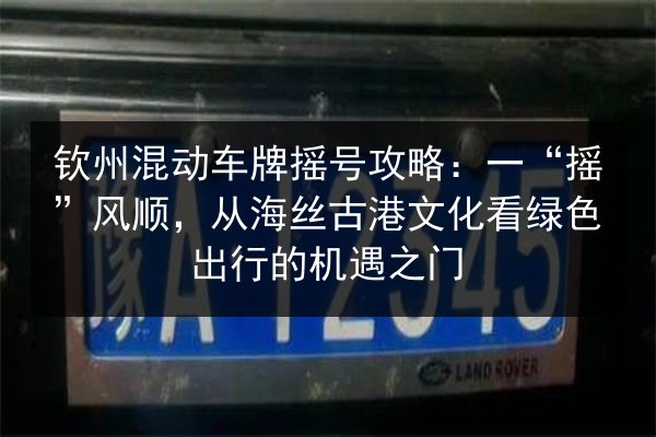 钦州混动车牌摇号攻略：一“摇”风顺，从海丝古港文化看绿色出行的机遇之门