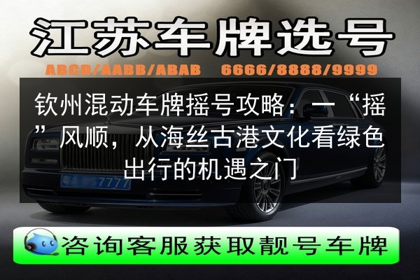 钦州混动车牌摇号攻略：一“摇”风顺，从海丝古港文化看绿色出行的机遇之门 第2张