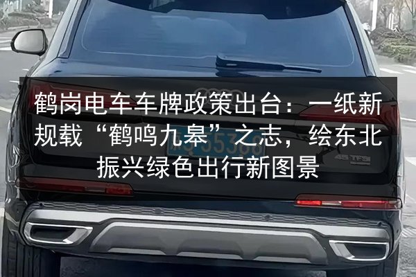 鹤岗电车车牌政策出台:一纸新规载“鹤鸣九皋”之志,绘东北振兴绿色出行新图景 第2张 鹤岗电车车牌政策出台:一纸新规载“鹤鸣九皋”之志,绘东北振兴绿色出行新图景 第2张