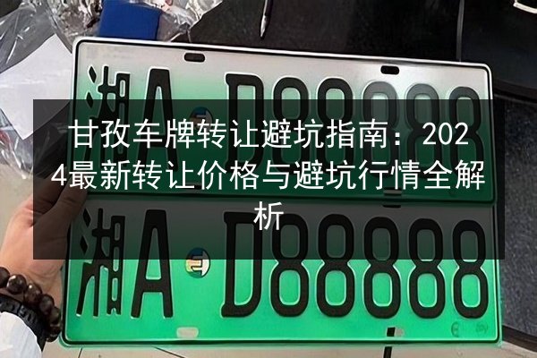 甘孜车牌转让避坑指南：2024最新转让价格与避坑行情全解析
