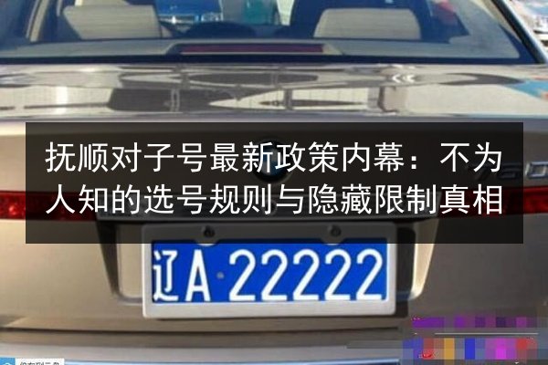 抚顺对子号最新政策内幕:不为人知的选号规则与隐藏限制真相 第3张 抚顺对子号最新政策内幕:不为人知的选号规则与隐藏限制真相 第3张