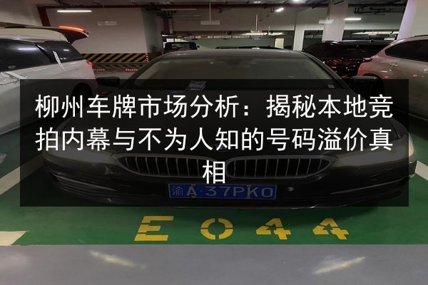 柳州车牌市场分析：揭秘本地竞拍内幕与不为人知的号码溢价真相