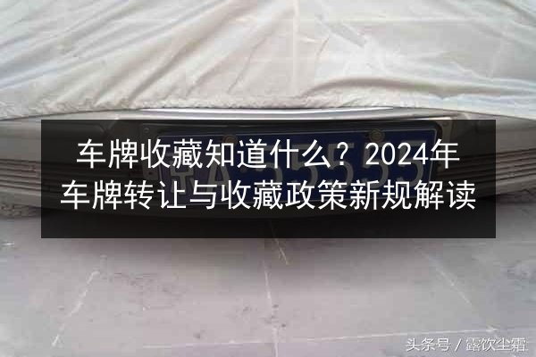 车牌收藏知道什么?2024年车牌转让与收藏政策新规解读 第2张 车牌收藏知道什么?2024年车牌转让与收藏政策新规解读 第2张