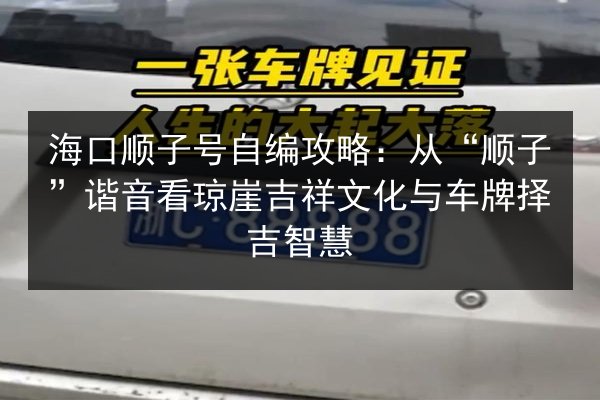 海口顺子号自编攻略:从“顺子”谐音看琼崖吉祥文化与车牌择吉智慧 第3张 海口顺子号自编攻略:从“顺子”谐音看琼崖吉祥文化与车牌择吉智慧 第3张