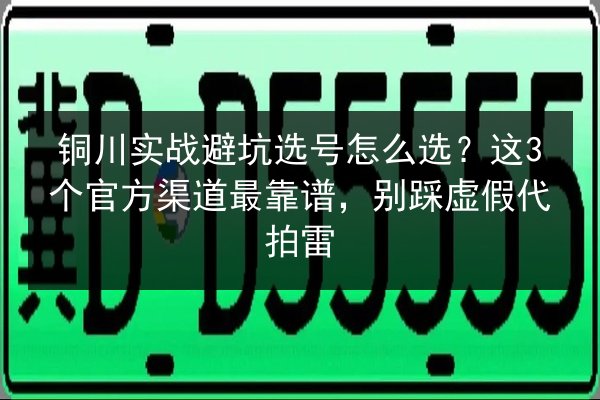 铜川实战避坑选号怎么选？这3个官方渠道最靠谱，别踩虚假代拍雷 第2张