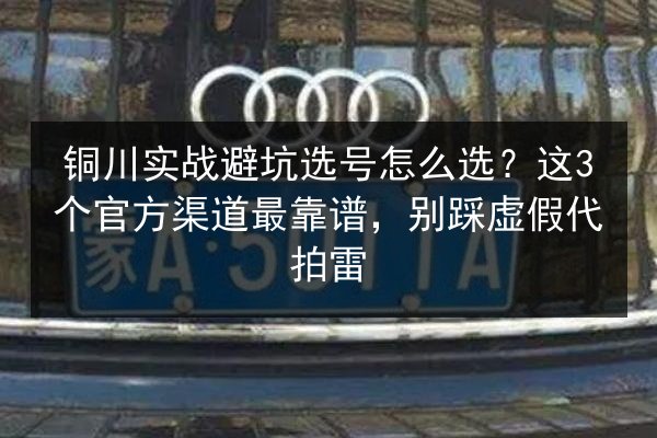 铜川实战避坑选号怎么选？这3个官方渠道最靠谱，别踩虚假代拍雷 第3张