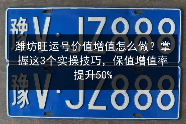 潍坊旺运号价值增值怎么做？掌握这3个实操技巧，保值增值率提升50% 第2张