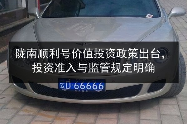 陇南顺利号价值投资政策出台,投资准入与监管规定明确 第3张 陇南顺利号价值投资政策出台,投资准入与监管规定明确 第3张