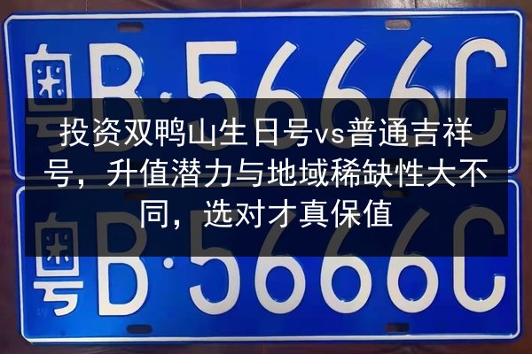 投资双鸭山生日号vs普通吉祥号,升值潜力与地域稀缺性大不同,选对才真保值 第2张 投资双鸭山生日号vs普通吉祥号,升值潜力与地域稀缺性大不同,选对才真保值 第2张