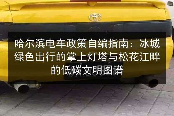 哈尔滨电车政策自编指南：冰城绿色出行的掌上灯塔与松花江畔的低碳文明图谱 第3张