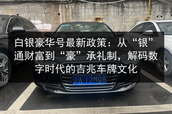 白银豪华号最新政策：从“银”通财富到“豪”承礼制，解码数字时代的吉兆车牌文化 第3张