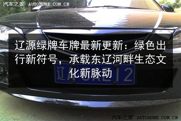 辽源绿牌车牌最新更新:绿色出行新符号,承载东辽河畔生态文化新脉动 第3张 辽源绿牌车牌最新更新:绿色出行新符号,承载东辽河畔生态文化新脉动 第3张