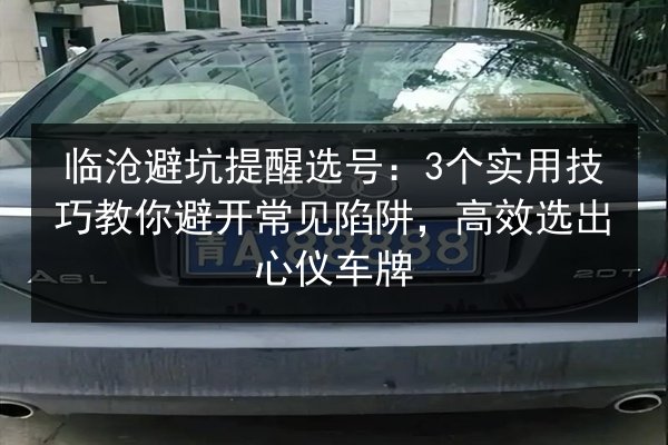 临沧避坑提醒选号：3个实用技巧教你避开常见陷阱，高效选出心仪车牌