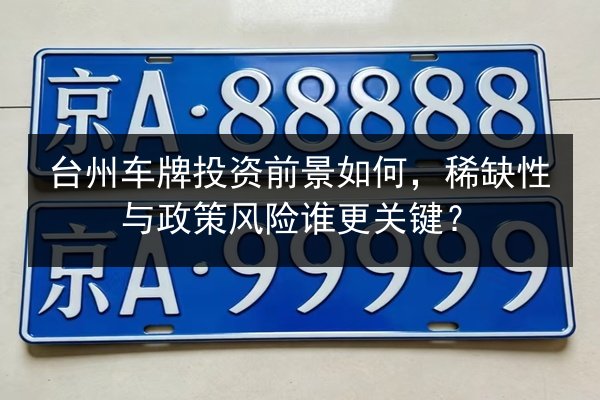 台州车牌投资前景如何，稀缺性与政策风险谁更关键？