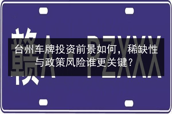 台州车牌投资前景如何,稀缺性与政策风险谁更关键? 第2张 台州车牌投资前景如何,稀缺性与政策风险谁更关键? 第2张