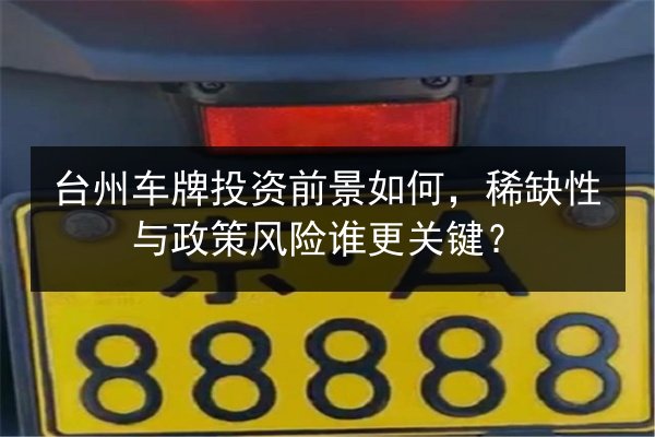 台州车牌投资前景如何,稀缺性与政策风险谁更关键? 第3张 台州车牌投资前景如何,稀缺性与政策风险谁更关键? 第3张