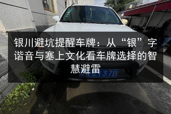 银川避坑提醒车牌:从“银”字谐音与塞上文化看车牌选择的智慧避雷 第2张 银川避坑提醒车牌:从“银”字谐音与塞上文化看车牌选择的智慧避雷 第2张