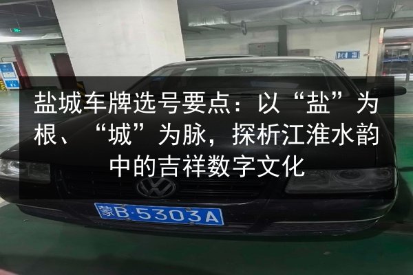 盐城车牌选号要点：以“盐”为根、“城”为脉，探析江淮水韵中的吉祥数字文化