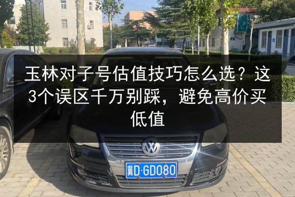 玉林对子号估值技巧怎么选?这3个误区千万别踩,避免高价买低值 第3张 玉林对子号估值技巧怎么选?这3个误区千万别踩,避免高价买低值 第3张