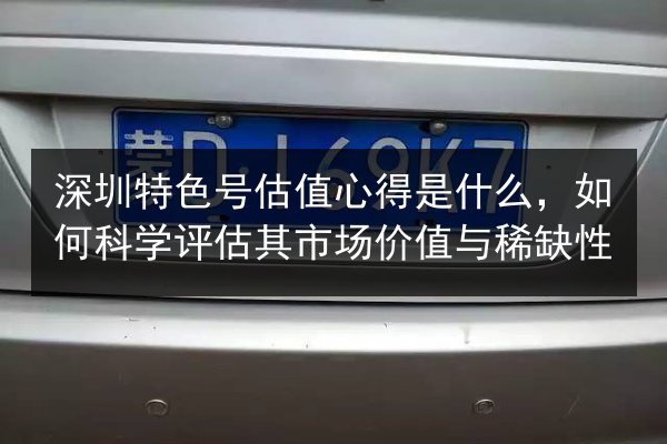 深圳特色号估值心得是什么，如何科学评估其市场价值与稀缺性