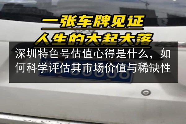 深圳特色号估值心得是什么,如何科学评估其市场价值与稀缺性 第3张 深圳特色号估值心得是什么,如何科学评估其市场价值与稀缺性 第3张