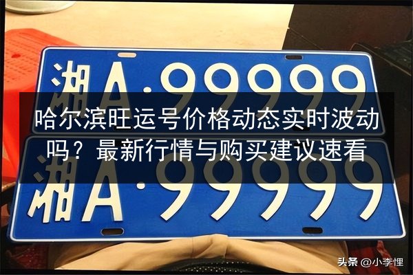 哈尔滨旺运号价格动态实时波动吗？最新行情与购买建议速看 第2张