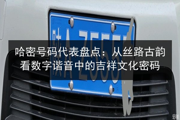 哈密号码代表盘点：从丝路古韵看数字谐音中的吉祥文化密码 第3张