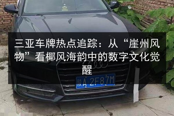 三亚车牌热点追踪：从“崖州风物”看椰风海韵中的数字文化觉醒 第2张