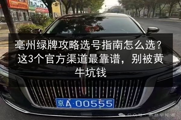 亳州绿牌攻略选号指南怎么选？这3个官方渠道最靠谱，别被黄牛坑钱