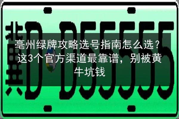 亳州绿牌攻略选号指南怎么选?这3个官方渠道最靠谱,别被黄牛坑钱 第3张 亳州绿牌攻略选号指南怎么选?这3个官方渠道最靠谱,别被黄牛坑钱 第3张