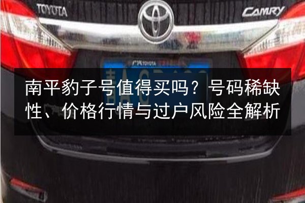 南平豹子号值得买吗？号码稀缺性、价格行情与过户风险全解析 第2张