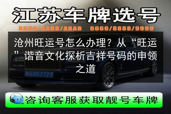 沧州旺运号怎么办理？从“旺运”谐音文化探析吉祥号码的申领之道 第2张