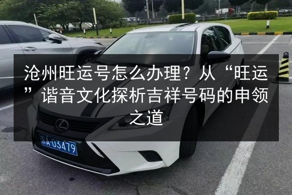 沧州旺运号怎么办理？从“旺运”谐音文化探析吉祥号码的申领之道 第3张