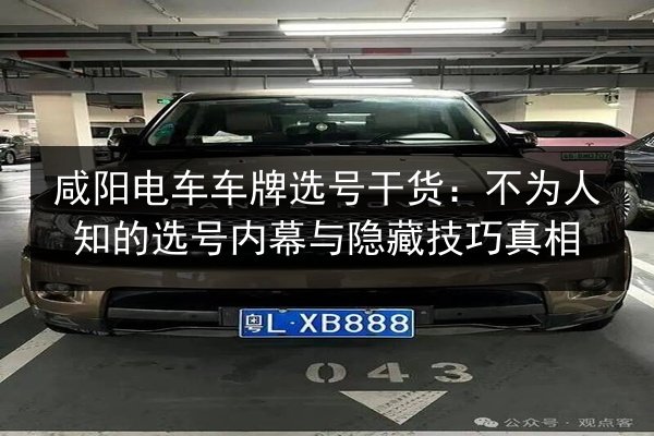 咸阳电车车牌选号干货：不为人知的选号内幕与隐藏技巧真相 第1张