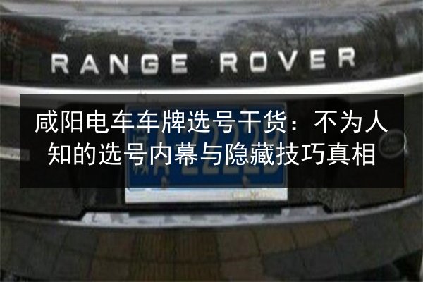咸阳电车车牌选号干货：不为人知的选号内幕与隐藏技巧真相 第2张