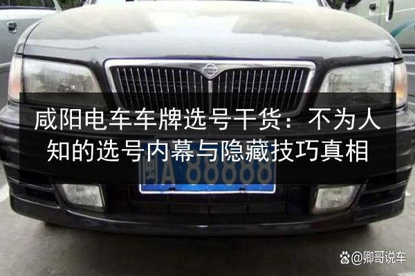 咸阳电车车牌选号干货：不为人知的选号内幕与隐藏技巧真相 第3张